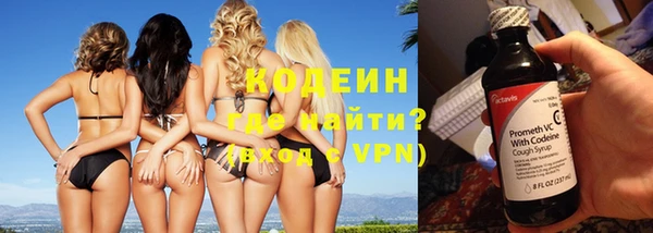 шишки Майский