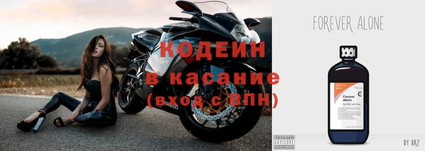 шишки Майский
