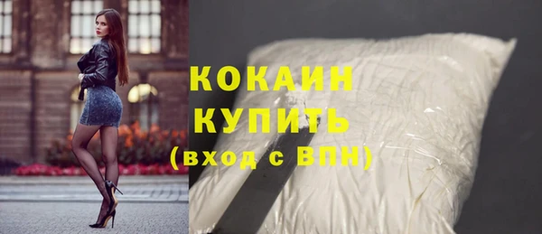 шишки Майский
