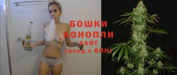 шишки Майский